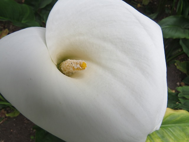 Guide: Udskiftning af hp 303xl blækpatroner trin for trin