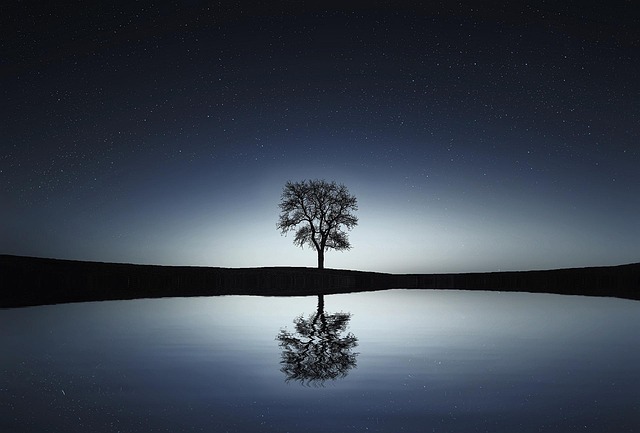 Fra skov til facade: Processen bag varmebehandlet træ